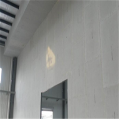南召宁波ALC板|EPS加气板隔墙与混凝土整浇联接的实验研讨